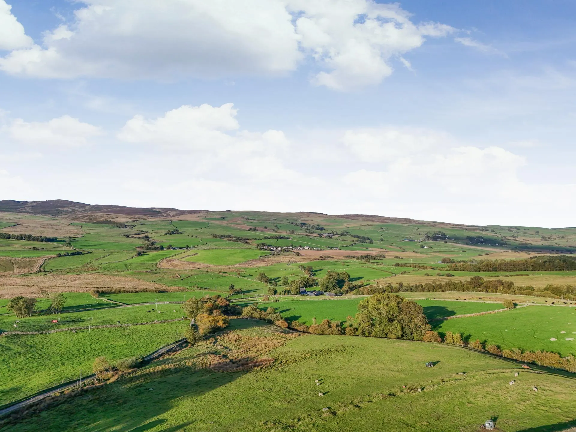 Patchwork fields and dry-stone walls around the house