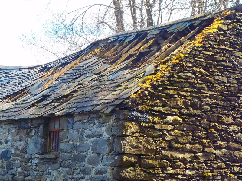Slipped slates and a gable furred with moss.