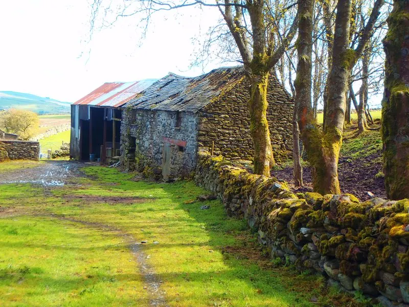 The barn beside the farm’s corrugated sheds, with the hills beyond.