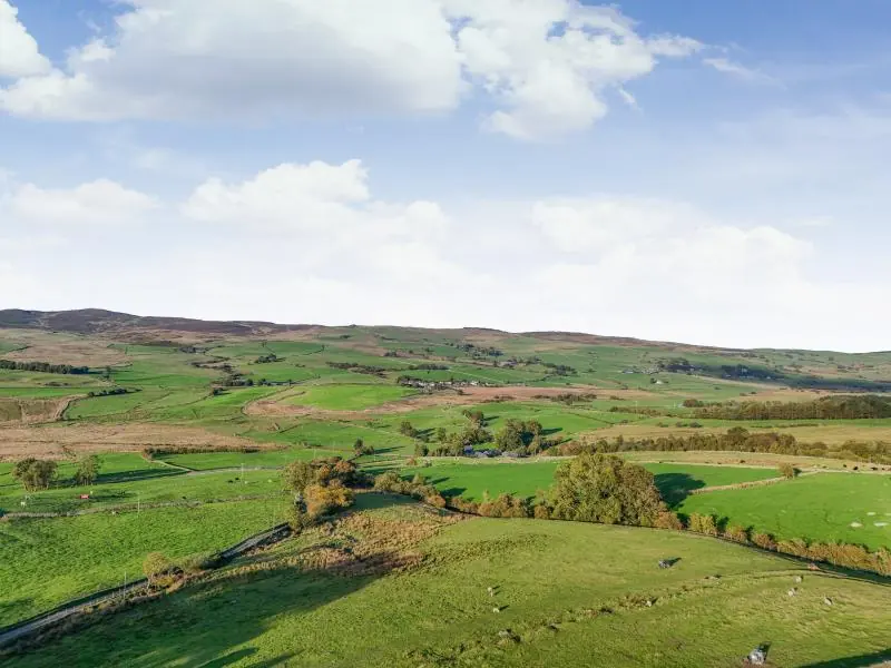 Green fields and dry-stone walls around the house